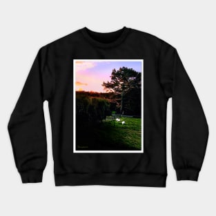 Late Afternoon Grazing Crewneck Sweatshirt